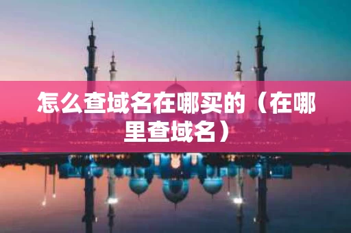 怎么查域名在哪买的（在哪里查域名）
