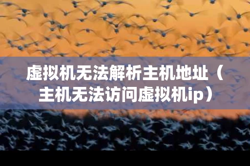 虚拟机无法解析主机地址（主机无法访问虚拟机ip）