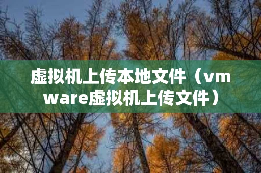 虚拟机上传本地文件（vmware虚拟机上传文件）