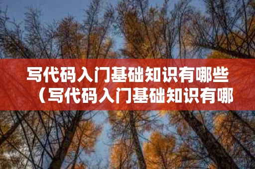 写代码入门基础知识有哪些（写代码入门基础知识有哪些书）