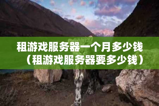 租游戏服务器一个月多少钱（租游戏服务器要多少钱）