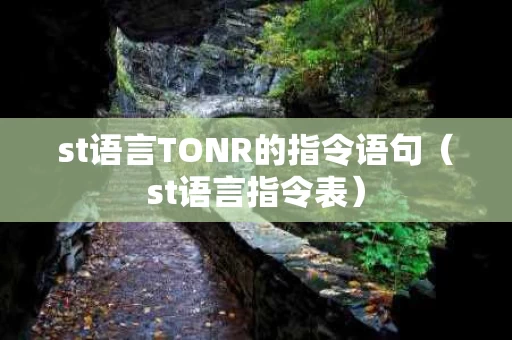 st语言TONR的指令语句（st语言指令表）