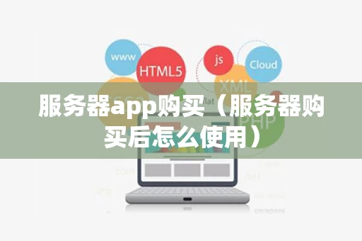 服务器app购买（服务器购买后怎么使用）