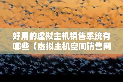 好用的虚拟主机销售系统有哪些（虚拟主机空间销售网站源码）