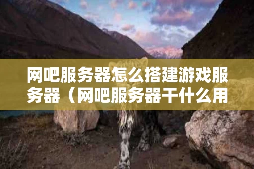 网吧服务器怎么搭建游戏服务器（网吧服务器干什么用的）