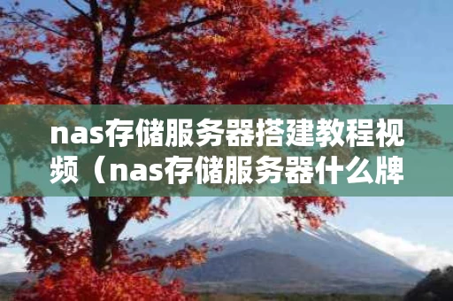 nas存储服务器搭建教程视频（nas存储服务器什么牌子好）