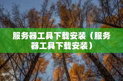 服务器工具下载安装（服务器工具下载安装）