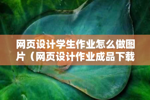 网页设计学生作业怎么做图片（网页设计作业成品下载）