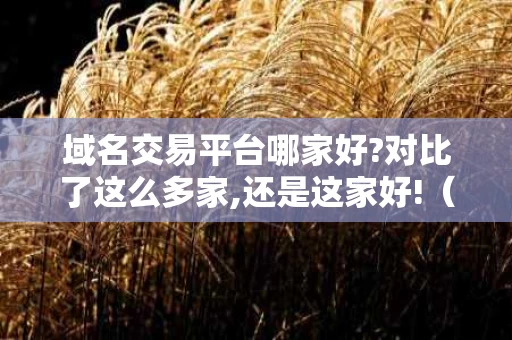 域名交易平台哪家好?对比了这么多家,还是这家好!（域名交易平台哪个好）