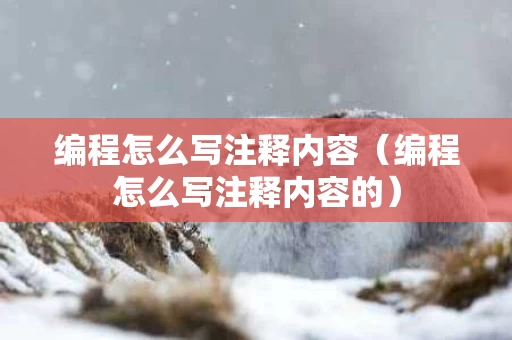编程怎么写注释内容（编程怎么写注释内容的）