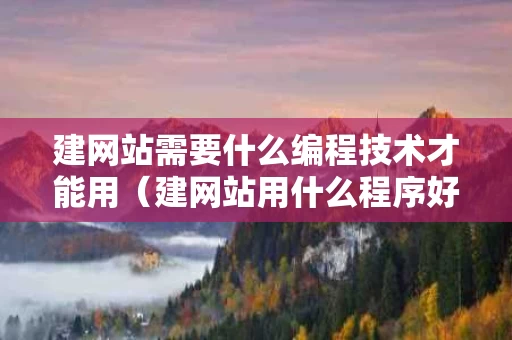 建网站需要什么编程技术才能用（建网站用什么程序好）