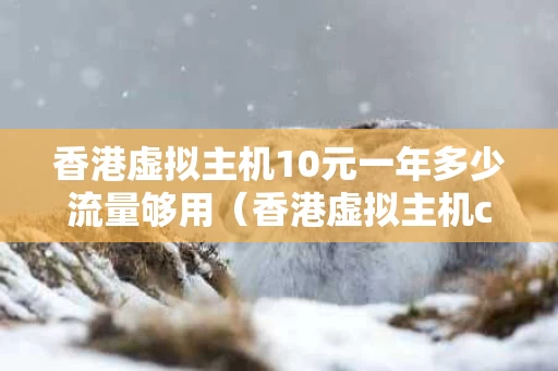 香港虚拟主机10元一年多少流量够用（香港虚拟主机cn2）