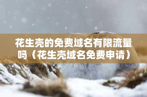 花生壳的免费域名有限流量吗（花生壳域名免费申请）