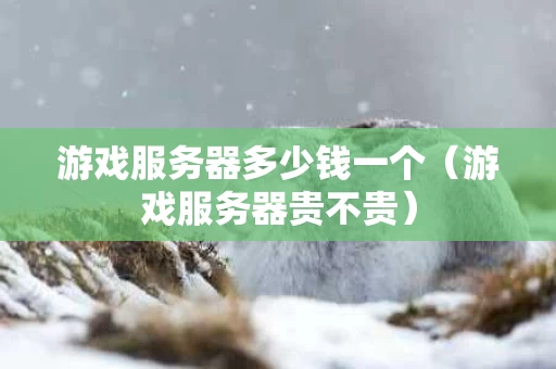 游戏服务器多少钱一个（游戏服务器贵不贵）
