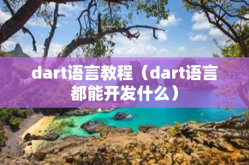 dart语言教程（dart语言都能开发什么）