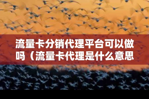 流量卡分销代理平台可以做吗（流量卡代理是什么意思）