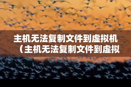 主机无法复制文件到虚拟机（主机无法复制文件到虚拟机上）