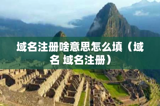 域名注册啥意思怎么填（域名 域名注册）