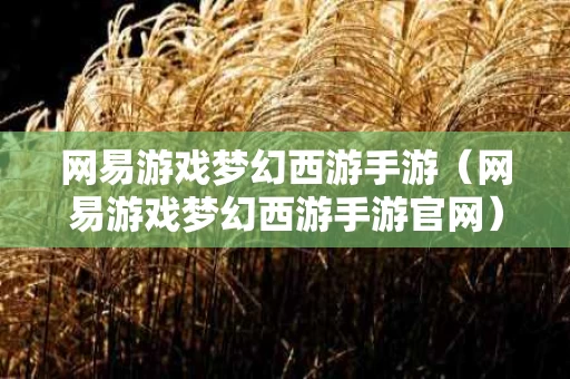 网易游戏梦幻西游手游（网易游戏梦幻西游手游官网）