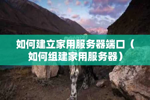 如何建立家用服务器端口（如何组建家用服务器）