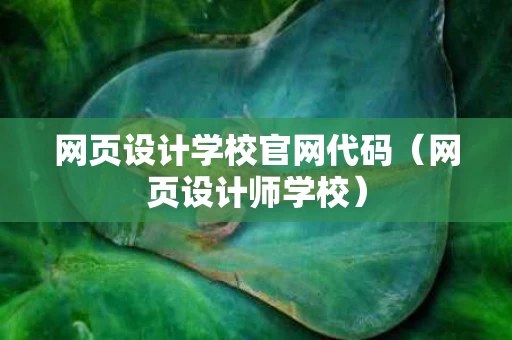 网页设计学校官网代码（网页设计师学校）