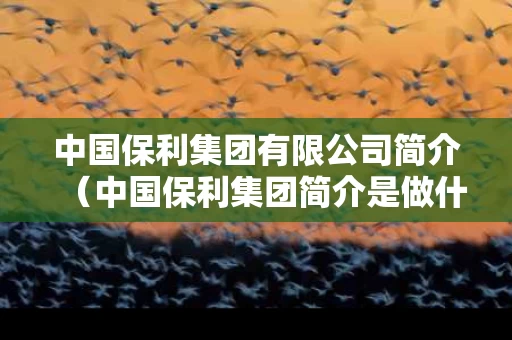 中国保利集团有限公司简介（中国保利集团简介是做什么的）