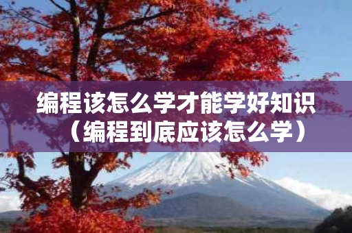 编程该怎么学才能学好知识（编程到底应该怎么学）