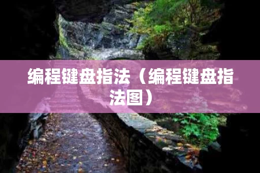 编程键盘指法（编程键盘指法图）
