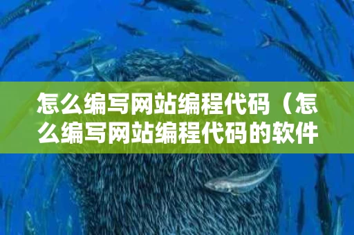 怎么编写网站编程代码（怎么编写网站编程代码的软件）