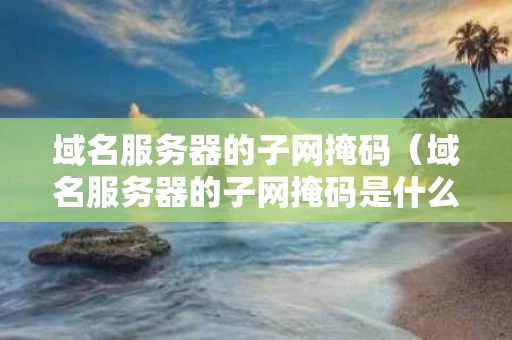域名服务器的子网掩码（域名服务器的子网掩码是什么）
