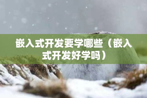 嵌入式开发要学哪些（嵌入式开发好学吗）