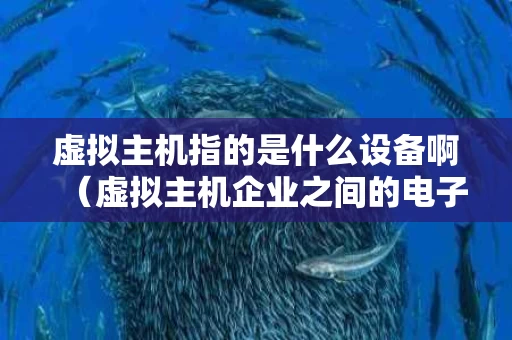 虚拟主机指的是什么设备啊（虚拟主机企业之间的电子商务）