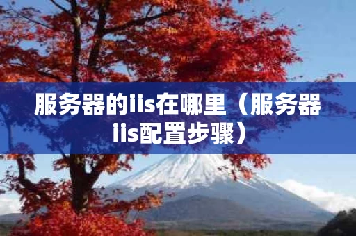 服务器的iis在哪里（服务器iis配置步骤）
