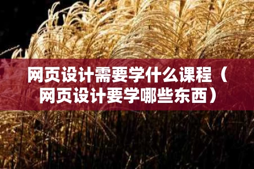 网页设计需要学什么课程（网页设计要学哪些东西）