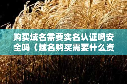 购买域名需要实名认证吗安全吗（域名购买需要什么资料）