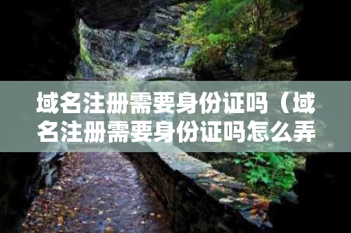域名注册需要身份证吗（域名注册需要身份证吗怎么弄）