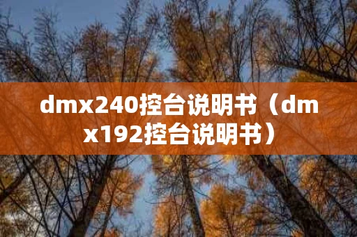 dmx240控台说明书（dmx192控台说明书）