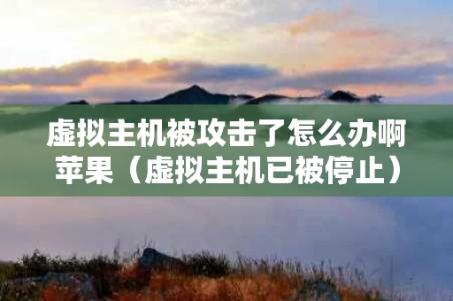 虚拟主机被攻击了怎么办啊苹果（虚拟主机已被停止）