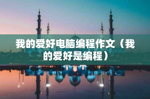 我的爱好电脑编程作文（我的爱好是编程）