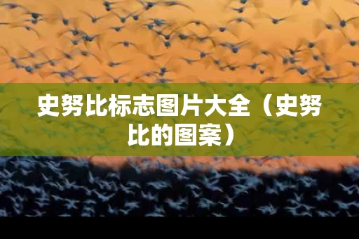 史努比标志图片大全（史努比的图案）