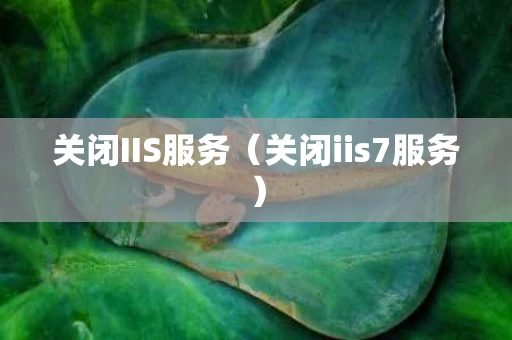 关闭IIS服务（关闭iis7服务）