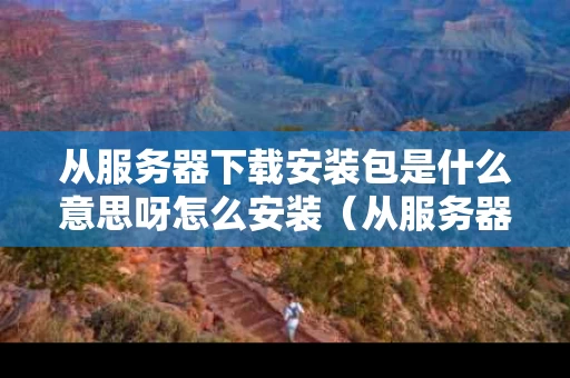 从服务器下载安装包是什么意思呀怎么安装（从服务器下载文件）