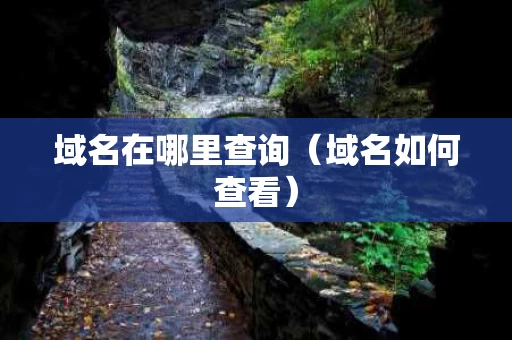 域名在哪里查询（域名如何查看）
