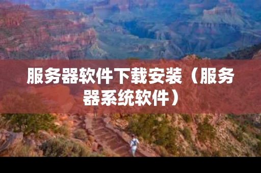 服务器软件下载安装（服务器系统软件）