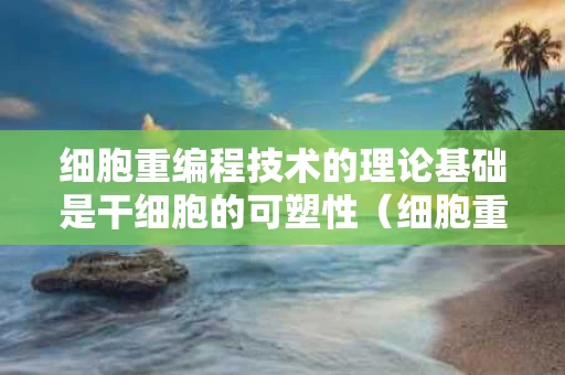 细胞重编程技术的理论基础是干细胞的可塑性（细胞重编程应用）