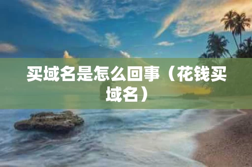买域名是怎么回事（花钱买域名）