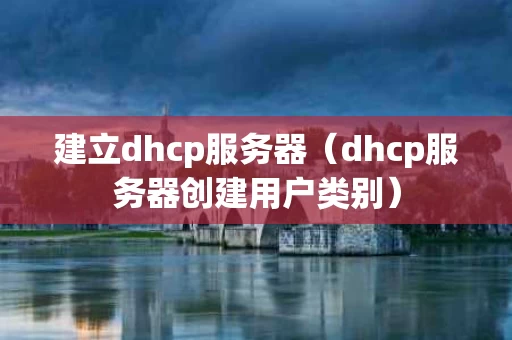 建立dhcp服务器（dhcp服务器创建用户类别）