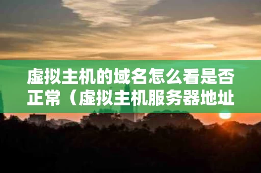 虚拟主机的域名怎么看是否正常（虚拟主机服务器地址在哪里看）