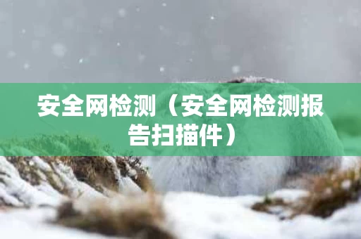 安全网检测（安全网检测报告扫描件）