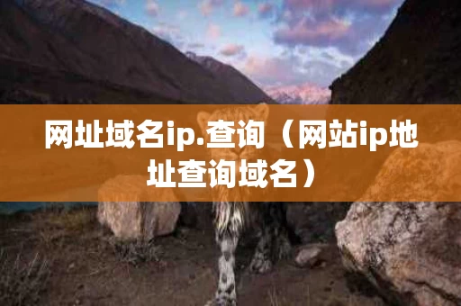 网址域名ip.查询（网站ip地址查询域名）